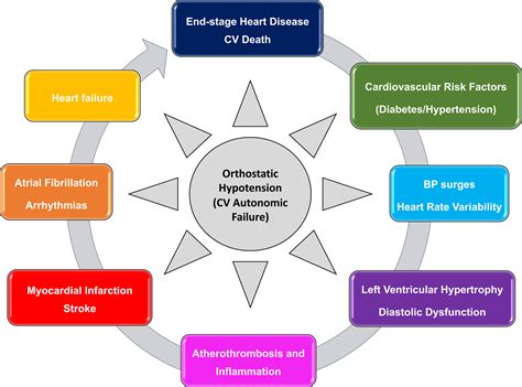 Orthostatic Hypotension Management Of A Complex But Common Medical