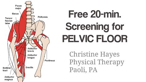 blog what is pelvic floor dysfunction symptoms