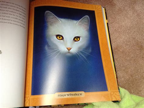 Sagewhisker Warrior Cats Stupid Cat Cat Books