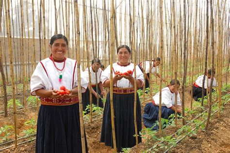 El Gran Trabajo De Las Mujeres Rurales Secretaría De Agricultura