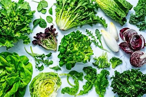 Your Guide To Salad Greens Plus Tips To Pick Prep And Store Them