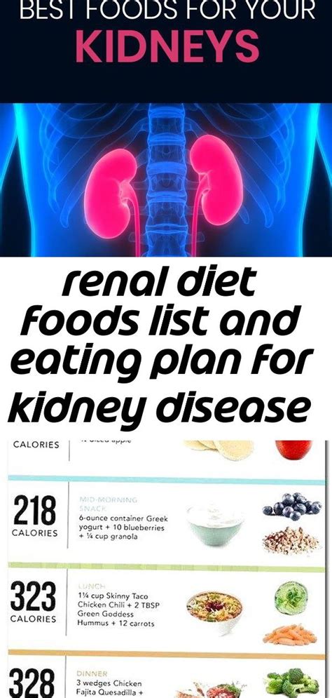 Renal Failure Renal Diet Recipes Renal Dialysis Diet Meal Plan