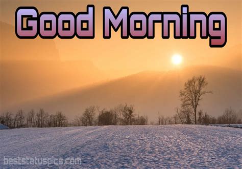 Winter Good Morning Wishes Hd Images Pictures Best Status Pics