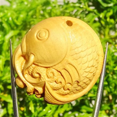 Berbagai penyakit bisa diredakan dengan kayu bajakah. Azimat Kayu Raja Mancing