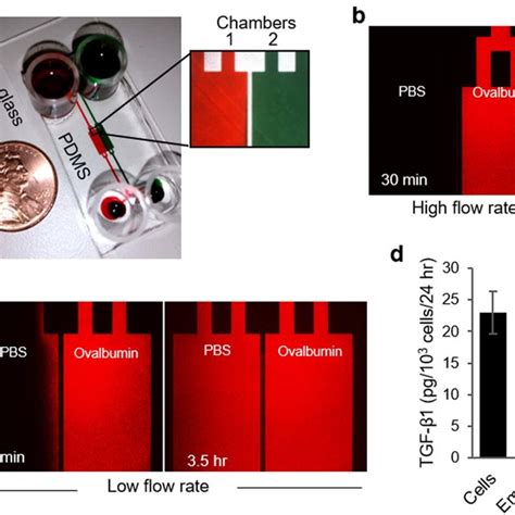 Layout And Operation Of The Microfluidic Co Culture Device A Two