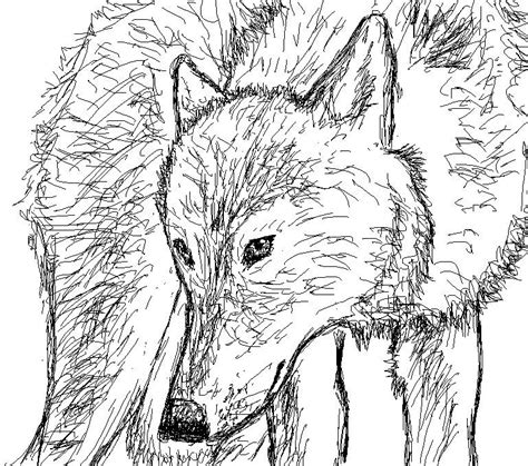 Wolf Sketch By Dreamerseeker On Deviantart
