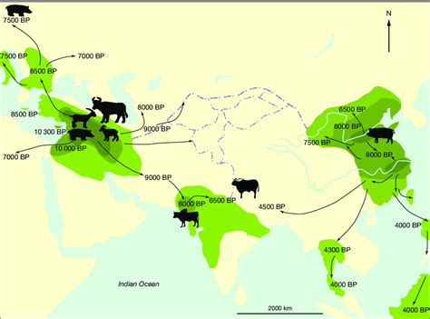 Location And Dates Of The Earliest Ungulate Domestication In Asia