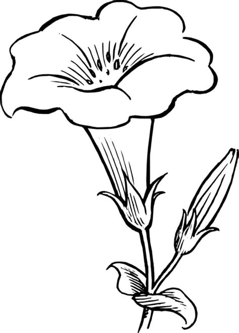 Download Free Simple Flower Outline, Download Free Simple Flower ...
