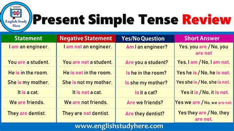 Present Simple Tense Review English Study Here
