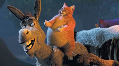 I Like The Parallel Universe Puss And Donkey I Like The Fact That