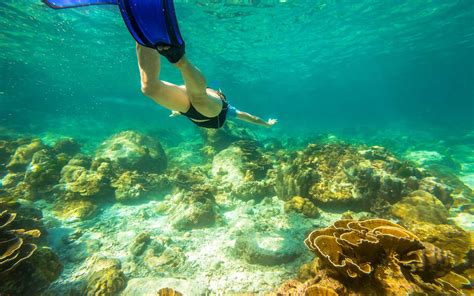 How To Choose The Perfect Snorkel Desertdivers