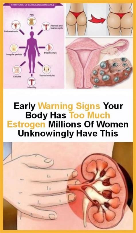 Your Body Has Too Much Estrogen Millions Of Women Have It
