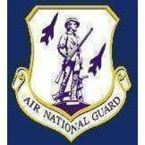 Us Air National Guard Insignia Flag 3 X 5 Ft Standard