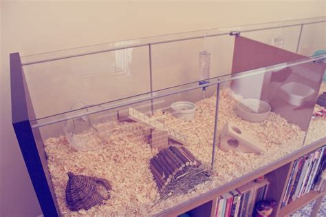 Maybe you would like to learn more about one of these? misadventures of alice: Ikea Detolf Hamster Cage