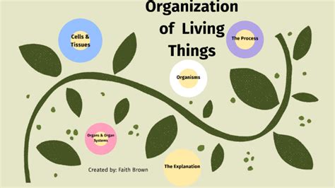 Organization Of Living Things By Faith Brown