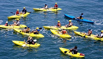 Kayak would be an excellent place to start your search. Kayaking Tips For Beginners See The Top 35 Of 2019 - Fin Bin