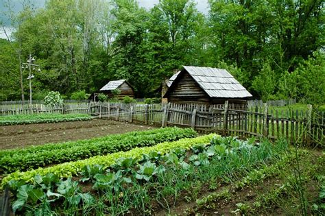 14 Important Ideas About What Every Homestead Needs And Must Implement