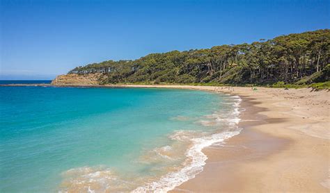 Book a campsite add to trip view your trip weather. Depot Beach cabins | NSW National Parks