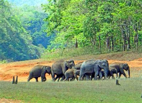 Kerala Tourism Rajasthan Tour Planner