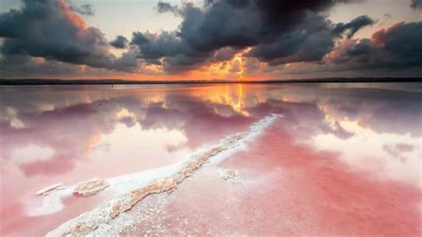 Rare Sight Romantic Pink Lakes