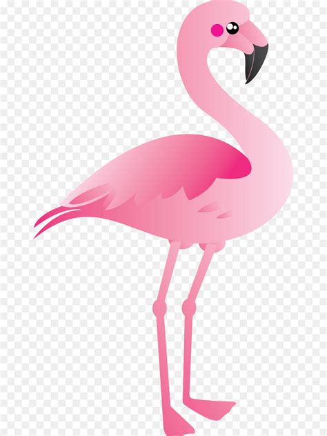 Clipart Flamingo Bird 10 Free Cliparts Download Images On Clipground 2022