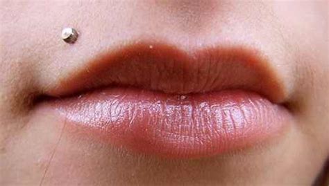 Lip Piercings Musely