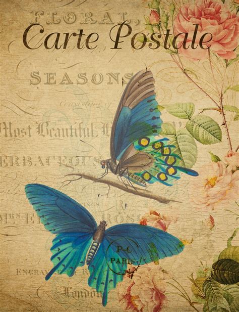 Butterfly Vintage Floral Postcard Free Stock Photo