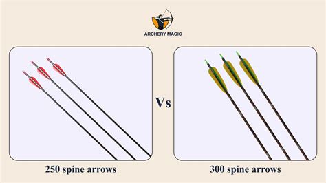 250 Vs 300 Spine Arrows Which One Best