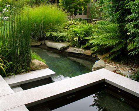 Water plants for backyard ponds. Small Water Feature & Garden Pond - Start An Easy Backyard ...