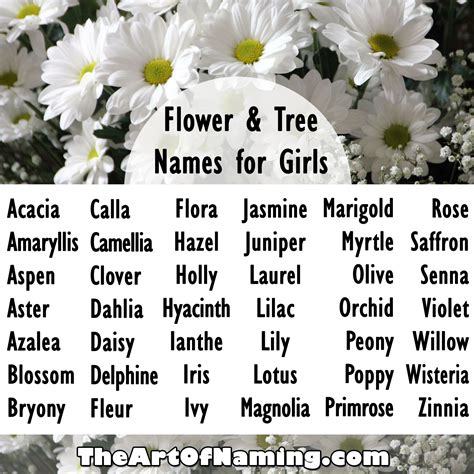 The 25 Best Girl Flower Names Ideas On Pinterest Flower Girl Ts