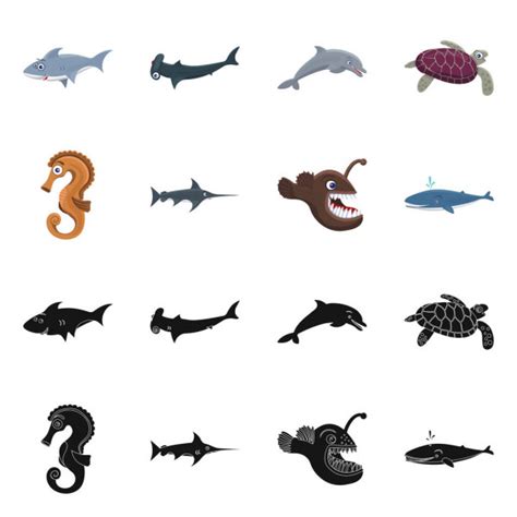 Pmages Sea Animal Name With Picture Oceanarium Ocean Animals And