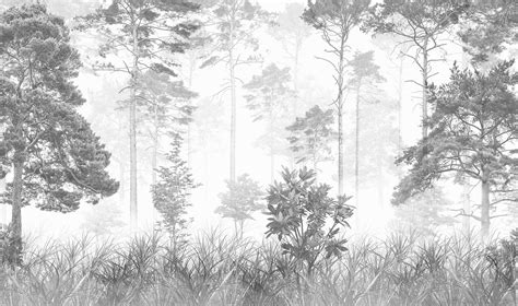 Top 53 Imagen Black And White Forest Background Vn