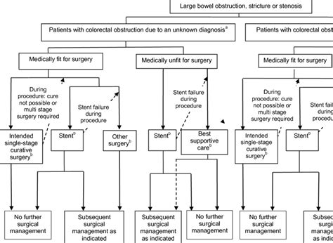 Proposed Clinical Management Algorithm Once Sems Insertion Introduced