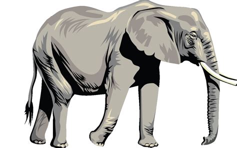 Transparent Background Elephant Clipart Png Clip Art Library