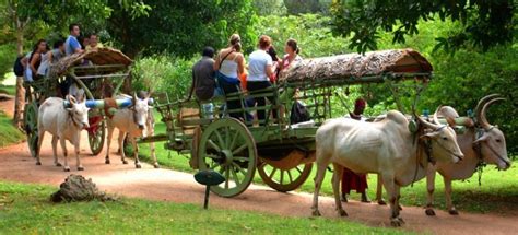 Hiriwadunna Village Tour Sri Lanka Visit Communities
