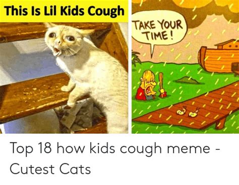 Orange Cat Meme Coughing