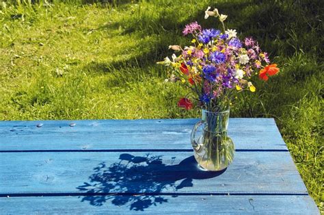 Summer Wild Flowers Bouquet In Glass Vase On Blue Table Stock Photo