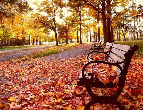 6 reasons why fall is the best season
