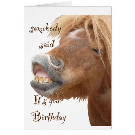 Thank you, hello, or i love you, custom greeting cards are thoughtful gifts that are always the perfect way to. Funny Horse Birthday Card | Zazzle.com