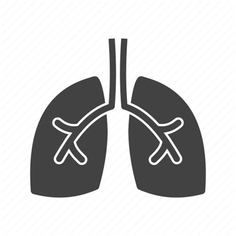 Breathe Bronchi Chest Healthy Lungs Pulmonary Respiration Icon