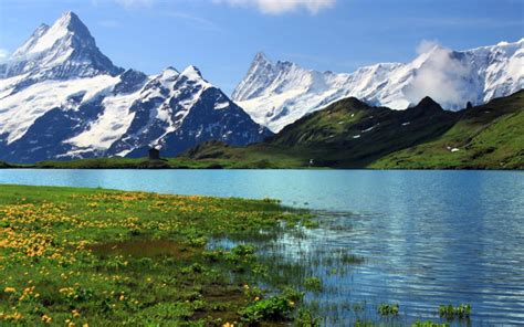 Rocky Mountain Snow Alps River Meadow With Green Grass And Yellow