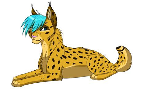 Cheetah Eurasian lynx Felidae Cat Giraffe - cheetah png download - 900*563 - Free Transparent ...