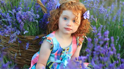 Redhead Cute Little Girl Is Sitting In Tulip Field Wearing Blue Pink Checked Dress HD Cute ...