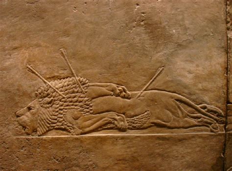 6 4 大英博物馆 亚述猎狮浮雕王权的象征