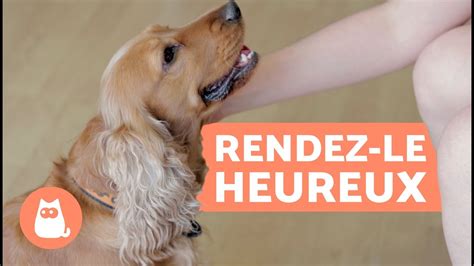 Il aboie pour nous dire quelque chose, pour exprimer une émotion. Comment rendre son chien heureux ? - 10 conseils clés ...