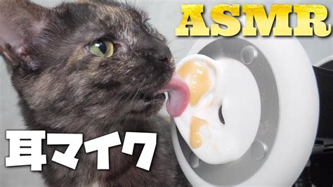【asmr】4匹の猫たちに耳を舐めてもらう🐈‍⬛🐈👂👅 Youtube