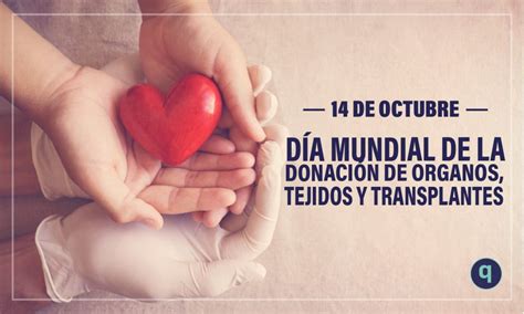 Día Mundial De La Donación De Órganos Tejidos Y Trasplantes Elquintanarroense