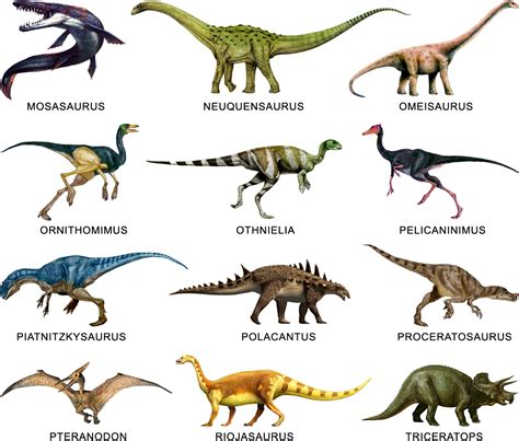 Curioseando GalerÍa De Dinosaurios