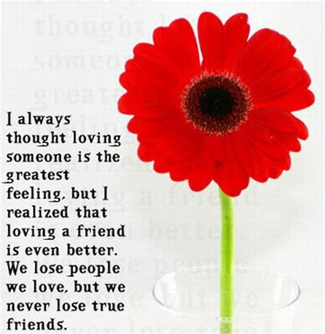 Flower Quotes About Friendship Quotesgram By Quotesgram Friendship Day Special Friendship Day