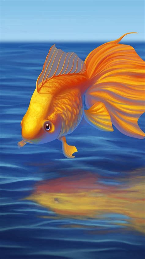 Iphone Goldfish Wallpapers 4k Hd Iphone Goldfish Backgrounds On